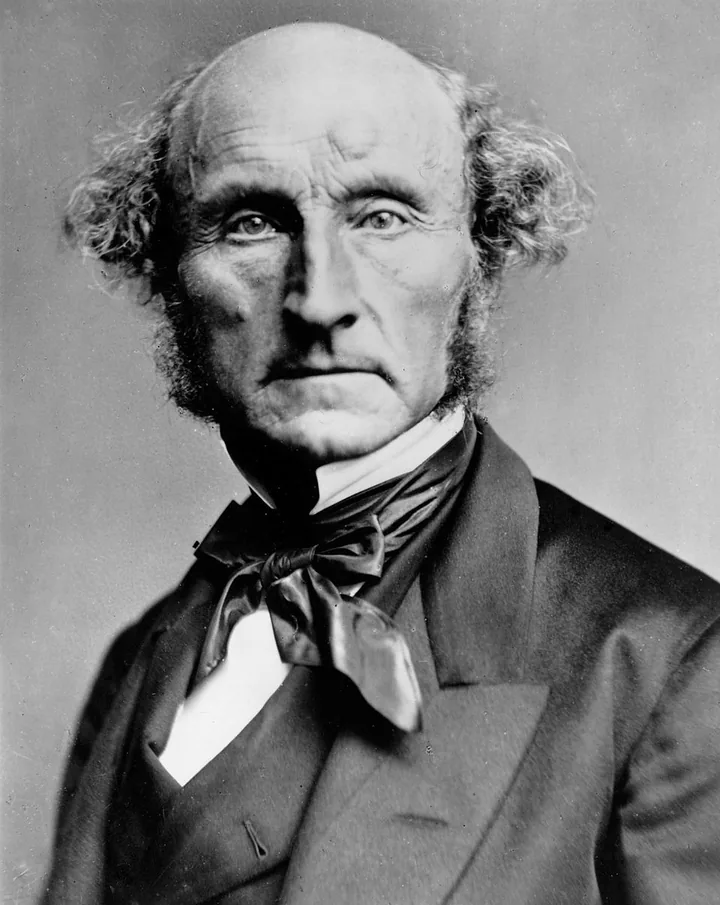 Black-and-white head-and-shoulders photograph of John Stuart Mill facing forward, with a high forehead and long side whiskers.